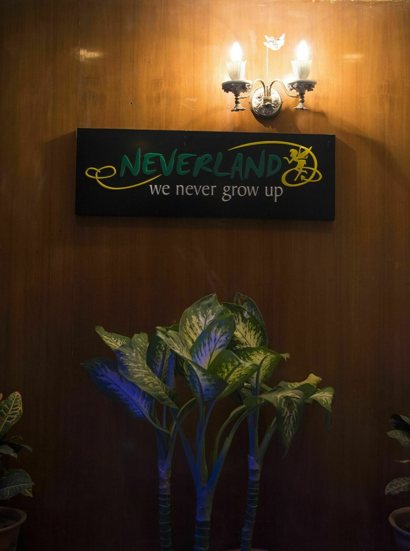 Neverland Hostel ジャイプール エクステリア 写真